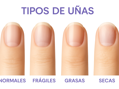 tipos de uñas naturales